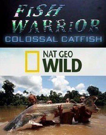 ������� �� ������������ ��������. ��� ������� / Fish warrior. Colossal catfish (2010) SATRip