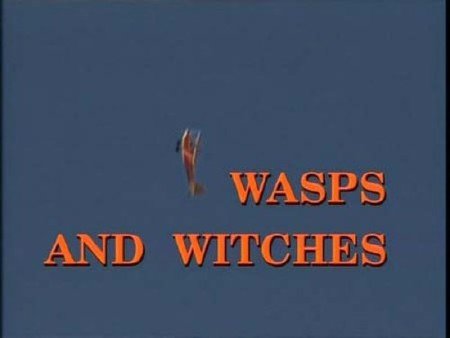 -    / Wassps and witches (2007) IPTVRip