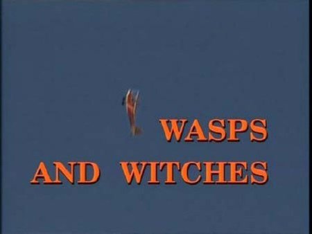 �������-������ ������ ������� ����� / Wassps and witches (2007) IPTVRip