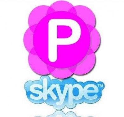 Pamela for Skype Basic 4.8.0.42