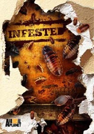  . ,    / Infested! Bedbugs, Rats and Scorpions (2011) SATRip