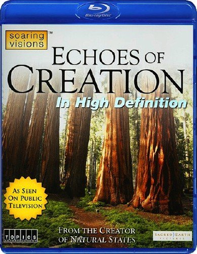   / Echoes of Creation (2010) BDRip 1080i