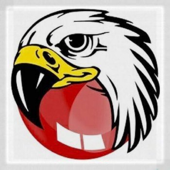 BlackHawk Web Browser 1.0.305.0 [MLRus]
