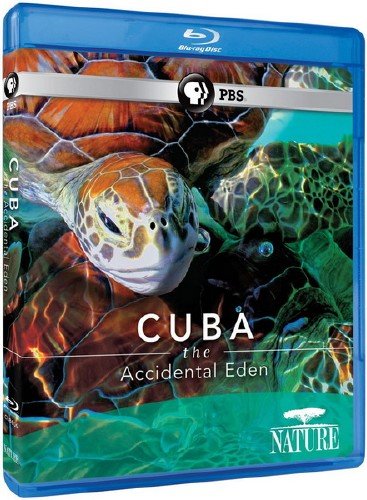 ����. ��������� ��� / Cuba - The Accidental Eden (2010) BDRip 1080i