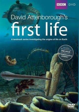 ������ �����. ���������� / First Life. Arrival (2010) HDRip