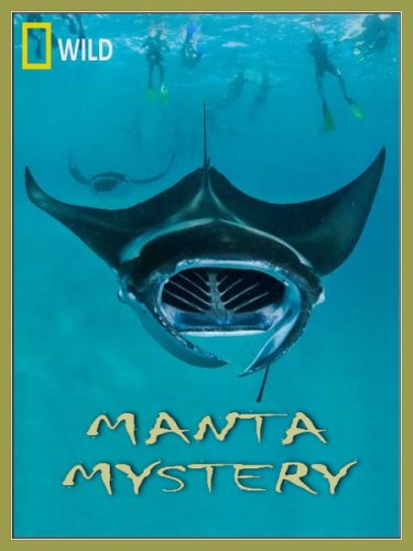 ����� �������� ������� / Manta Mystery (2011) SATRip