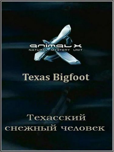 ������������ ����� �������. ��������� ������� ������� / Texas Bigfoot (2008) SATRip