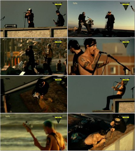 Red Hot Chili Peppers - The Adventures of Rain Dance Maggie (2011) x264