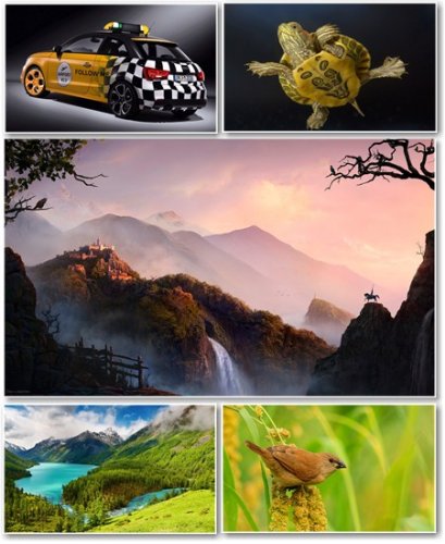 Best HD Wallpapers Pack 336