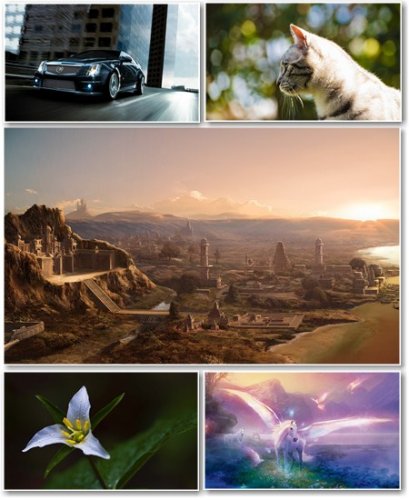 Best HD Wallpapers Pack �337