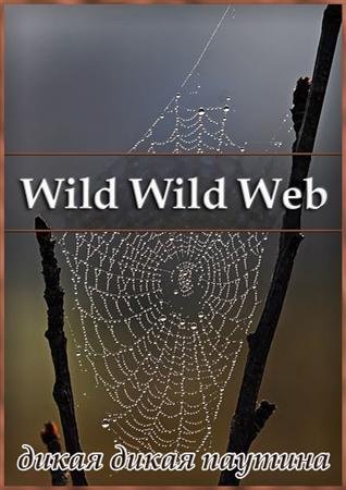 ����� ����� ������� / Wild Wild Web (2003) SATRip