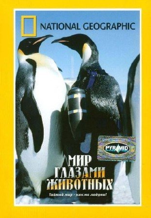 ��� ������� �������� / Crittercam (2004) DVD-5
