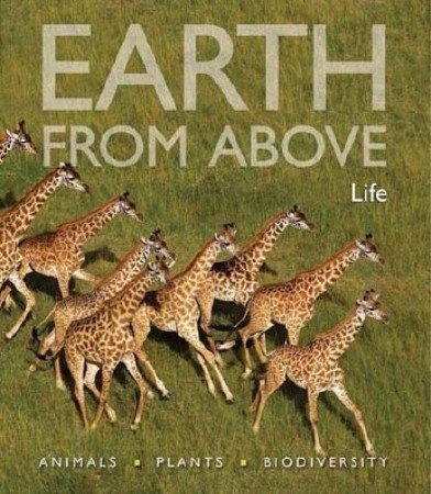 �����,��������� � ����: ����� / Earth From Above: Life (2004) HDRip