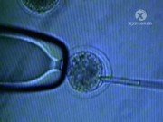 ����� �����. ������������. ����� ����� / Super Science. Cloning. South Korea (2009) SATRip