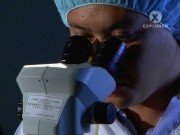 ����� �����. ������������. ����� ����� / Super Science. Cloning. South Korea (2009) SATRip