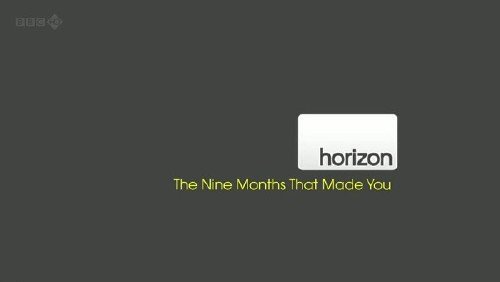 BBC Horizon - ������ ������������ ������� / The Nine Months That Made You (2011/sub) HDTVRip
