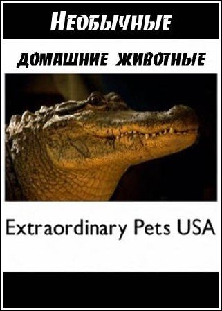    / Extraordinary Pets USA (2005) IPTV