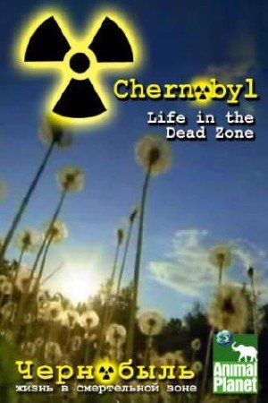  -     / Chernobyl - Life in the Dead Zone (2007) HDTVRip