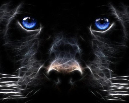 A large collection of black wallpaper