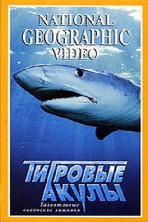 �������� ����� / Tiger Shark (2000) DVDRip