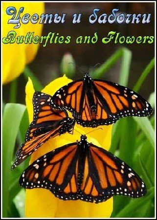 ����� � ������� / Butterflies and Flowers (2008) DVDRip