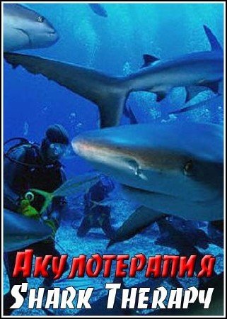 ������������ / Shark Therapy (2006) SATRip