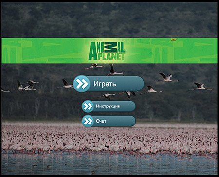 ������� ��������: ������ / Animal Planet: Air (2011/RUS/MULTI)
