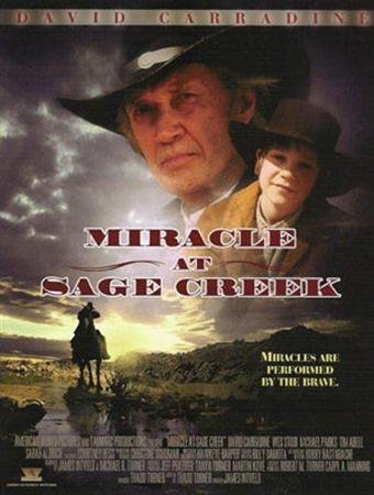 ���� � ����� ������� / Miracle at Sage Creek (2005 / DVDRip)