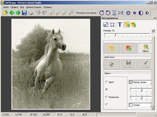 Picture Cutout Guide v2.4.2 En/Ru Portable