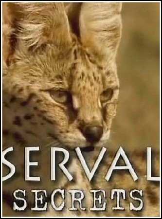 ������� � ��������: ������ ������ / SERVAL secrets (2004) SATRip