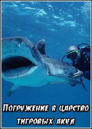 ���������� � ������� �������� ���� / Dive to Tiger Central (2007) TVRip