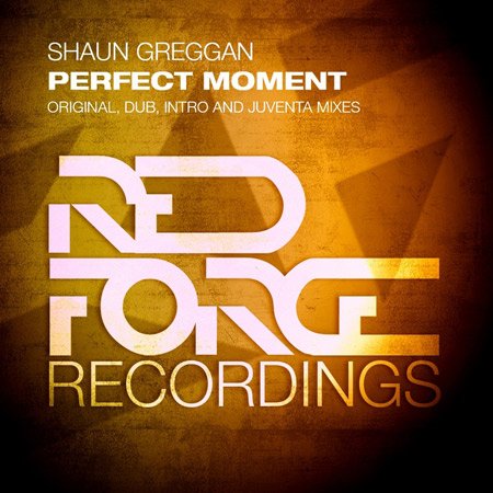 Shaun Greggan - Perfect Moment (2011)