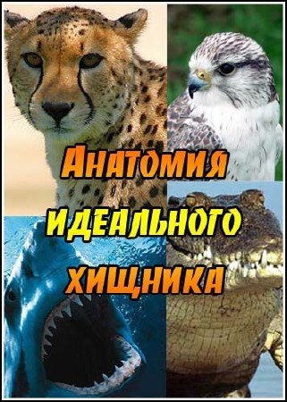 �������� ���������� ������� / Inside the Perfect Predator (2010) SATRip