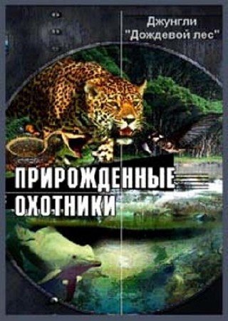 �������. �������� ��� / Jungle. Rain forest (2001) DVDRip