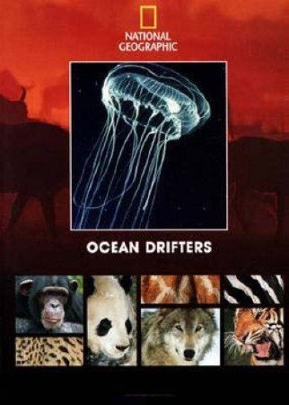 ��������� ������� / Ocean drifters (1993) DVDRip