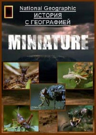 ������������ ��������. ��������� / Built for the Kill. Miniature (2001) DVDRip