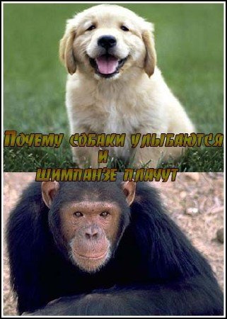 ������ ������ ��������� � �������� ������ / Why Dogs Smile & Chimpanzees Cry (1999) SATRip