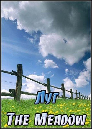 ��� / The Meadow (2007) SATRip