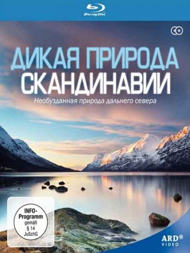 ����� ������� ����������� / Wild Scandinavia  Wildes Skandinavien (2011) BDRip