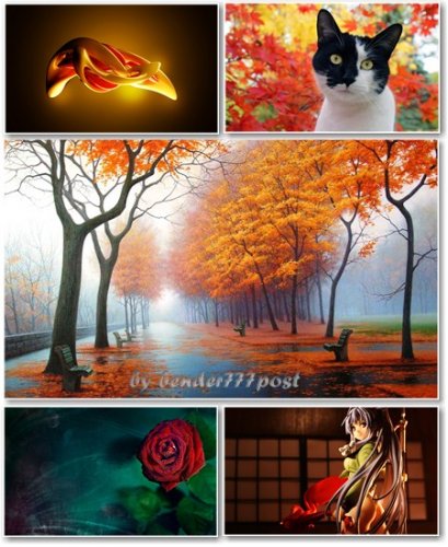 Best HD Wallpapers Pack 365
