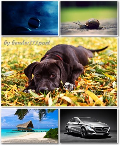 Best HD Wallpapers Pack 369