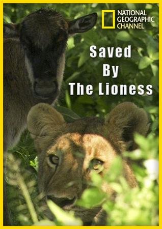�������� ������� / Saved By The Lioness (2011) HDTVRip