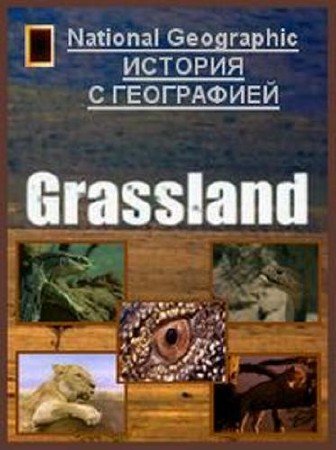 ������������ ��������. ������� / Built for the Kill. Grassland (2001) DVDRip