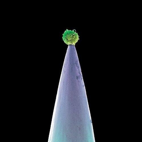 Peter Gabriel - New Blood (Special Edition) (2011)