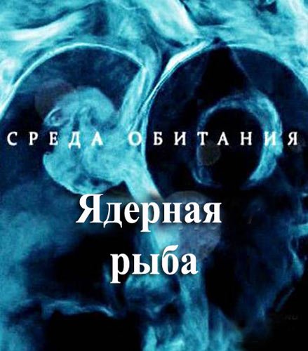 ����� ��������. ������� ���� (2011) SATRip