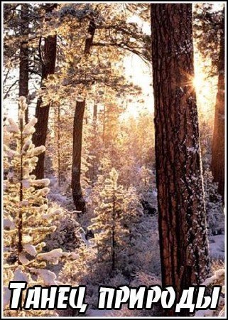 ����� ������� / Nature's dance (2007) DVB