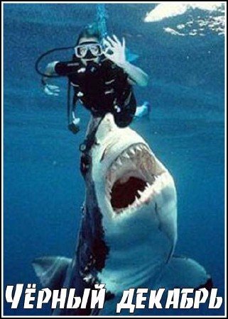 ׸���� ������� / Killer sharks the attacks of black december (2011) IPTVRip