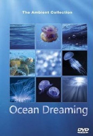 ���� ������ / Ocean Dreaming (2011) DVDRip