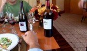 �������� � ���� / Hollywood and Vines (2008) SATRip (1 �����, 13 ����� �� 13)