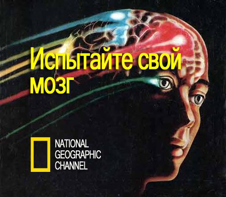 ��������� ���� ���� (3 ����� �� 3) / Test Your Brain (2011) SATRip